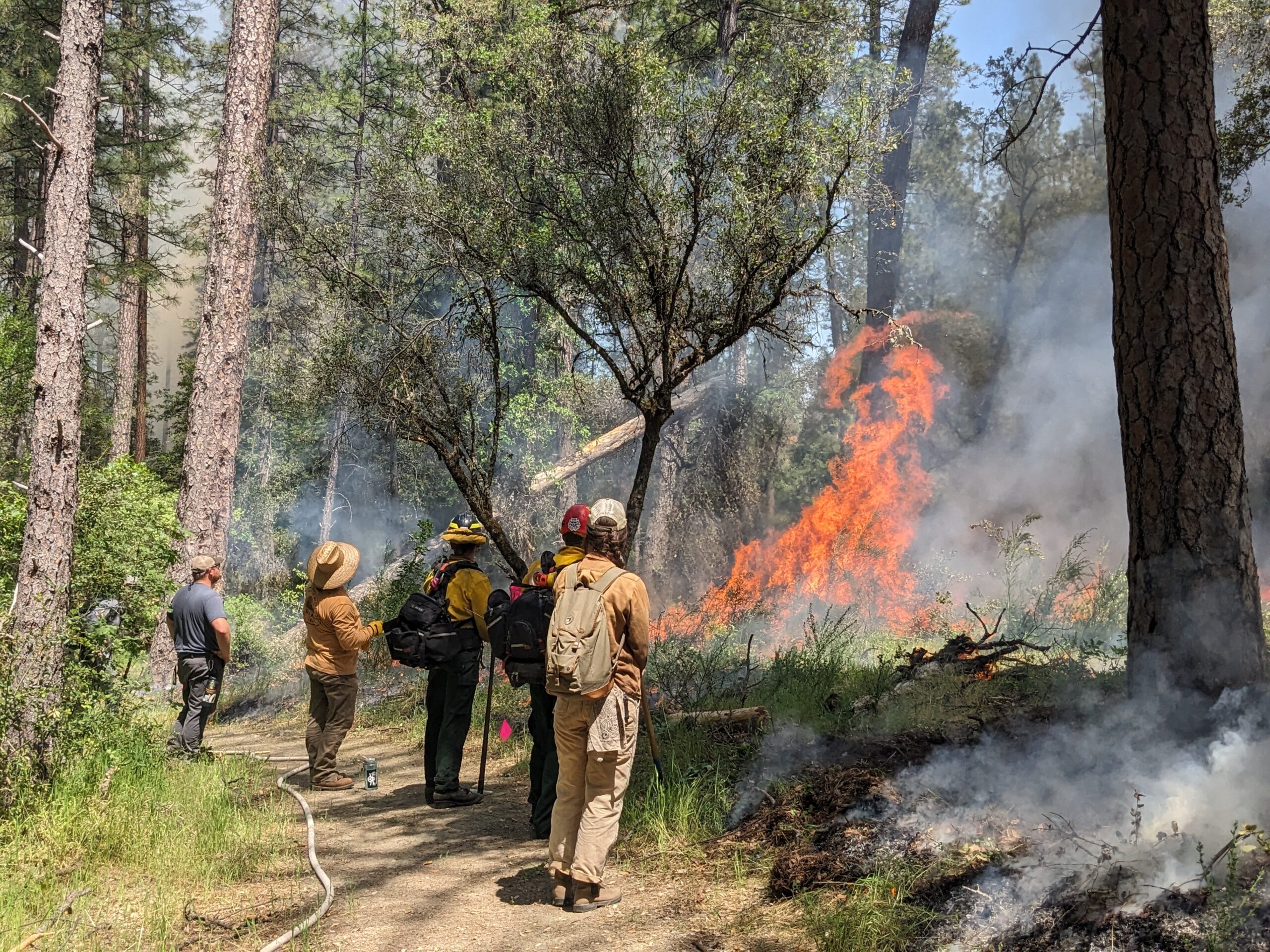 California: Reducing Wildfire Risk in Nevada County with Community Crews and Nature-based Solutions