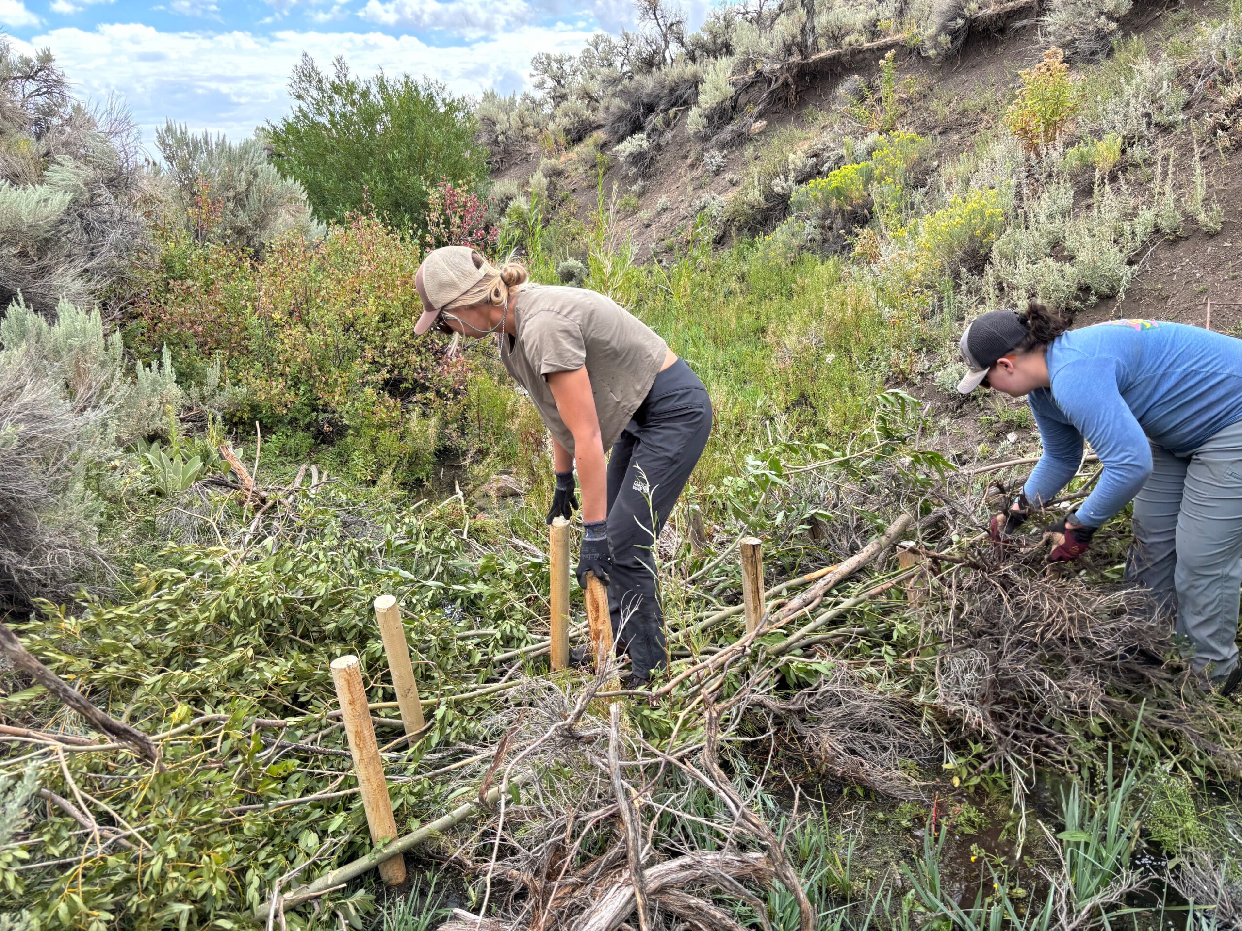 Idaho: Advancing Progress on Climate Resilience Priorities in Blaine County