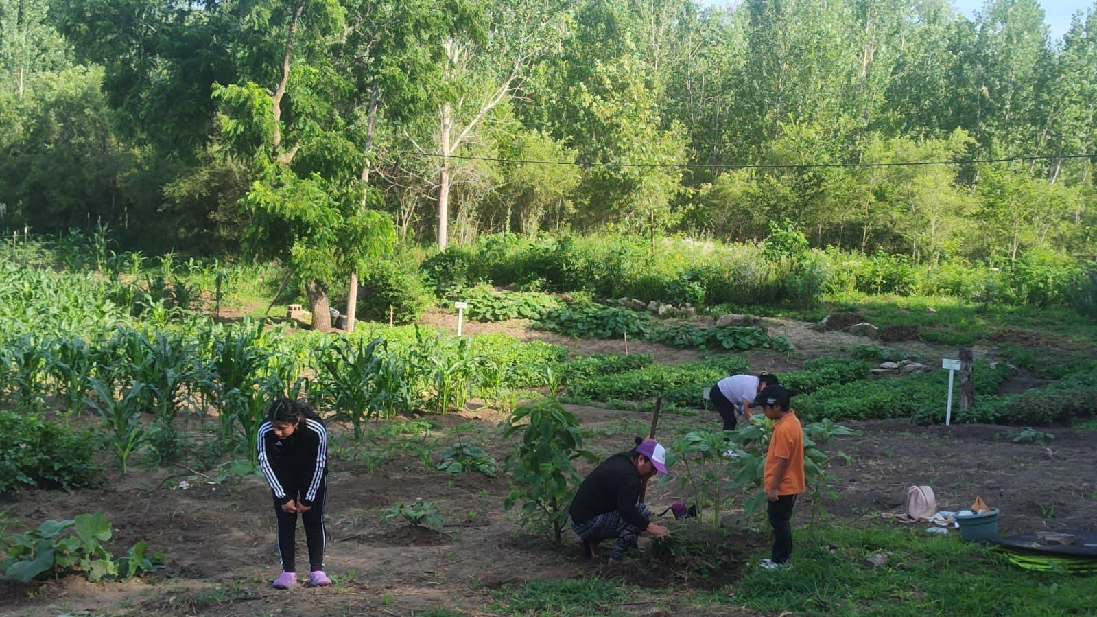 Mayan families farming in agricultural fields