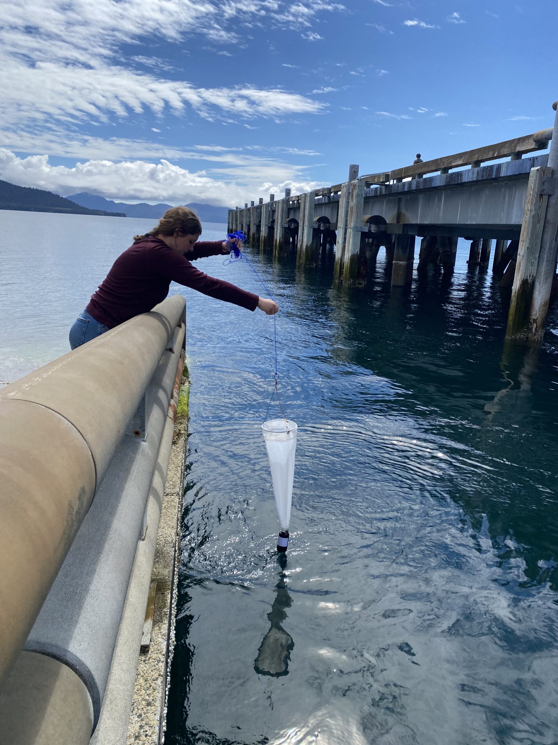 Woman doing ocean sampling near a bridge