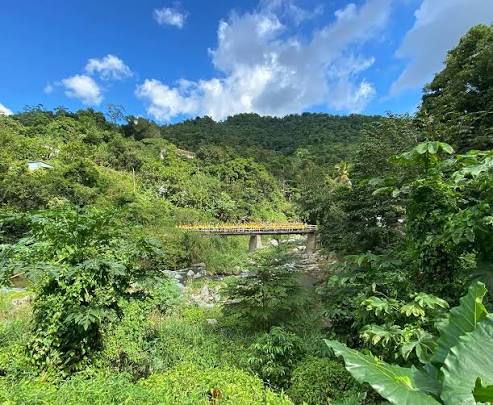 Aerial shot of forested, mountainous terrain and a bridge